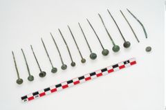 Foto von Kugelkopfnadel (NHMW-PRAE-035770)